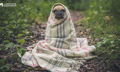 如何做一个不挨揍的产品狗？