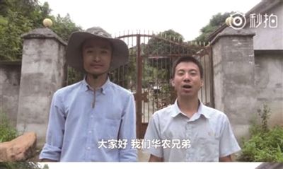 营销拆解：微博涨粉70万，江西华农兄弟竹鼠走红背后的金矿