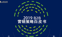 2019年B2B行业营销策略白皮书完整版