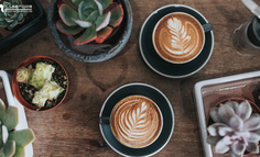 案例解析 | 你听说过故宫咖啡没？