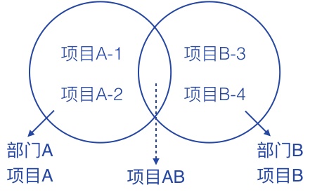 項(xiàng)目存在的形式