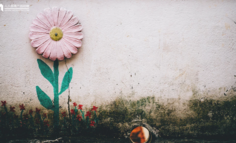 运用产品思维，解决实际问题