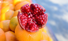 产品分析报告丨每日优鲜，随时随地享受食物的美好