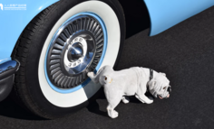 如果广告说真话，场面将是这样的……