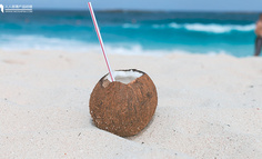 31年坚持在海南岛的椰树，有哪些值得品牌们学习的点？