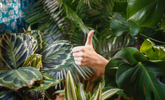 你永远戒不掉点赞