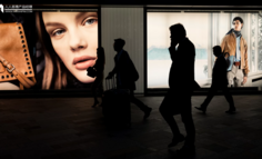 中国社交电商十年