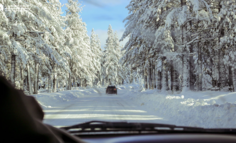 国际物流企业Rhenus行业解决方案之仓储物流