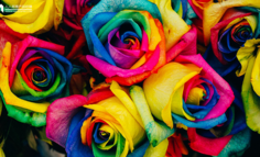 跳槽进大厂，这些设计技法必须会 （五）：分形风格