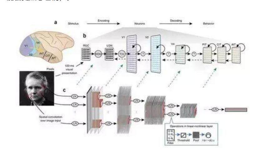 用图像控制猴子大脑，哈佛大学是如何用算法“造梦”的？
