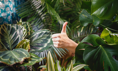 网易云音乐卖内衣，我以为走错了片场