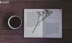 为什么说产品设计更像文学创作？