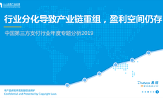 2019中国第三方支付行业年度专题分析