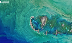 竞品分析：多抓鱼 VS 漫游鲸