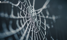 傲慢与无知，警惕伪需求陷阱