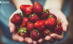 以多多果园为例：游戏化电商的增长之路