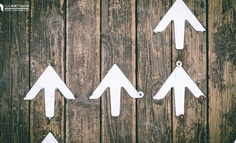 谁说增长不香了？ 教你一个低预算也能完成增长的模型！