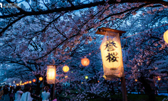 限定销售=饥饿营销吗？它的底层逻辑是什么？