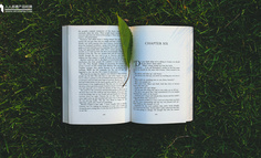 蜗牛读书，让时间出新知