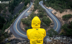 用户比想象中还要容易受影响