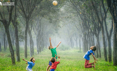 多多果园类小游戏背后的产品设计机制拆解