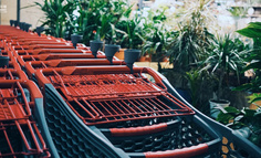 摁不住的拼多多