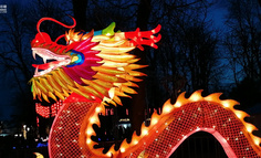 新零售的冰与火之歌1——集齐七颗龙珠就可以召唤神龙