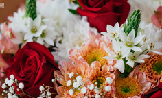 商业模式分析：容易被遗忘的鲜花花卉