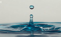 热爱105°C和蜜雪冰城火出圈，谁赢了？