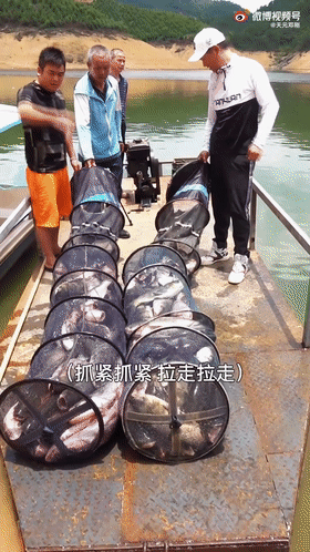 “天元邓刚”单月涨粉千万，钓鱼竟成抖音最受欢迎休闲运动？