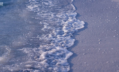 社区团购退潮之后，何去何从？