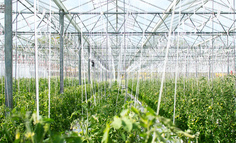 靠谱的农业项目申报指南