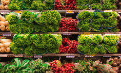 社区团购：一场比共享单车还“短命”的百亿狂欢