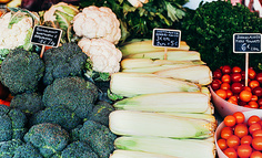 社区团购竞逐依然“中场”：补贴穿马甲、热钱在观望