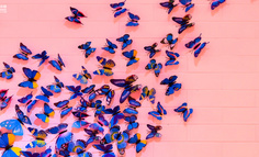 产业互联网正进入蝶变时刻