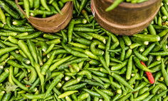 数字农业：农企数字化转型实施路径