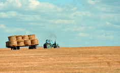 互联网大厂：走，到农村去！