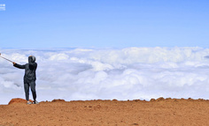 5980元就能买“个人IP点金术”，网红之路真的可复制？