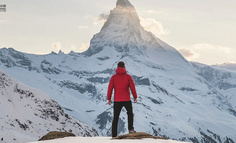 疫情之下，不是要修炼内功，而是要探索可行性方法