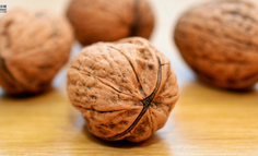 我，90后，开始靠“盘核桃”赚钱