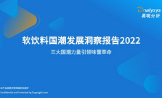 2022年軟飲料國(guó)潮發(fā)展洞察報(bào)告