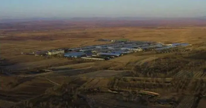 蒙牛智慧牧场：最新鲜的牛奶来源于“数字牛”