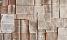 文字快速简化的时代，我们是否还有必要崇拜知识与文学？