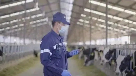 蒙牛智慧牧场：最新鲜的牛奶来源于“数字牛”