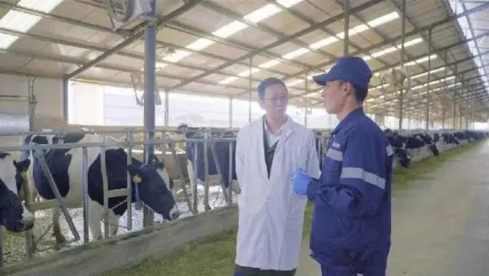 蒙牛智慧牧场：最新鲜的牛奶来源于“数字牛”