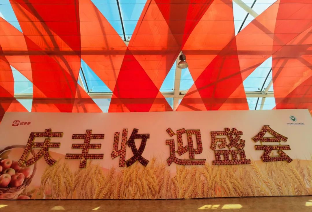 稻花香里说丰年，拼多多新农人组团走进2022中国农民丰收节
