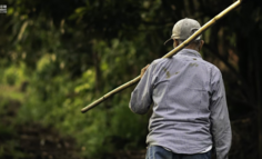 没赚钱，“二舅”不是肖申克，下一份救赎靠“洗脸”