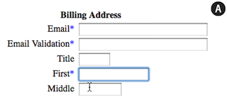 Descriptions-to-form-field-labels-1 in Fundamental Guidelines Of E-Commerce Checkout Design