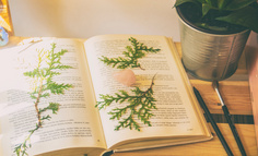 文案人的一些思考——汲取思想，转化为自己的思考