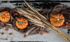 这届年轻人被“秋日限定”拿捏了